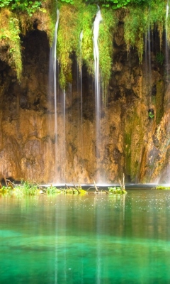 Sfondi Jungle Waterfall 240x400