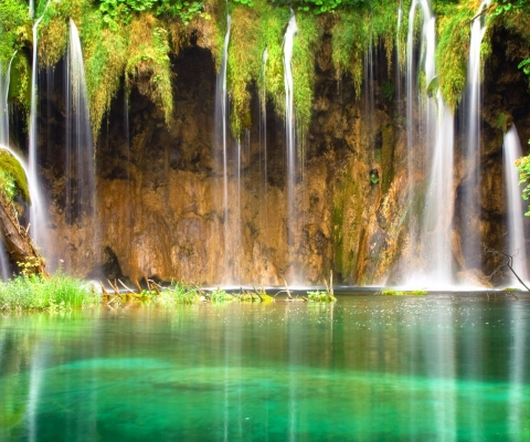 Jungle Waterfall screenshot #1 480x400