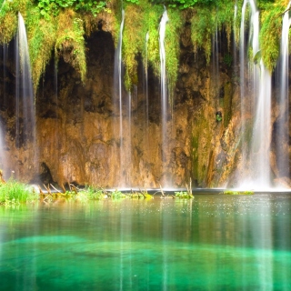 Jungle Waterfall - Fondos de pantalla gratis para iPad 2