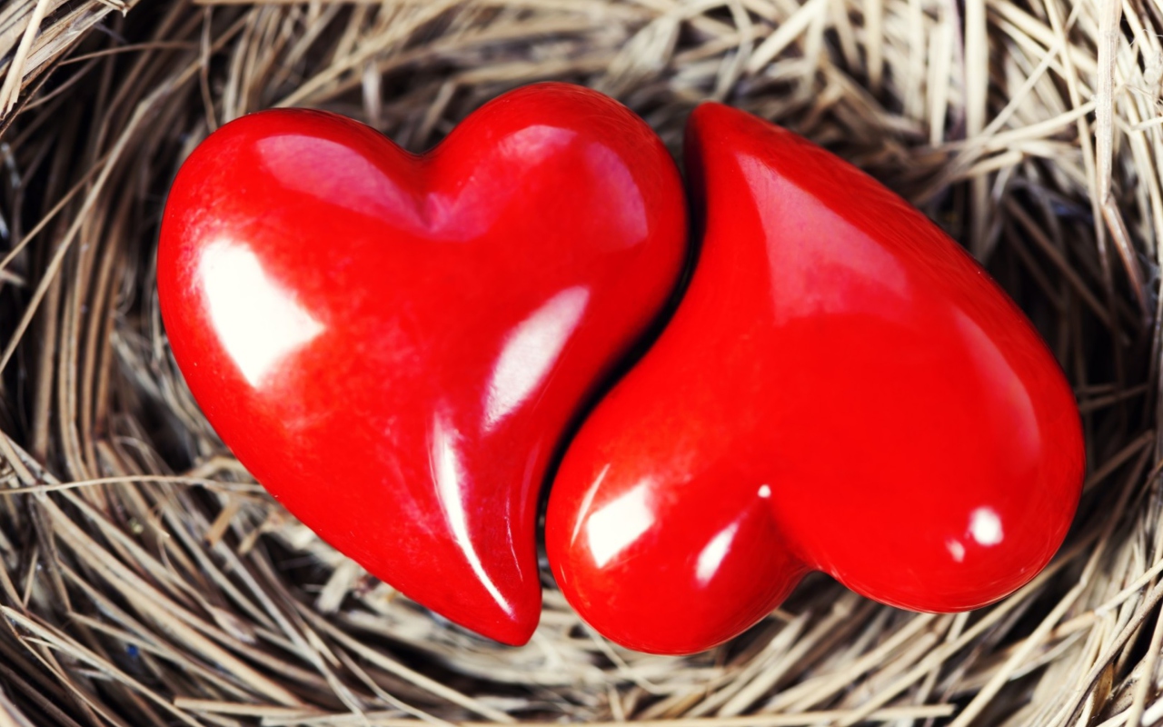 Fondo de pantalla Heart In Nest 1280x800