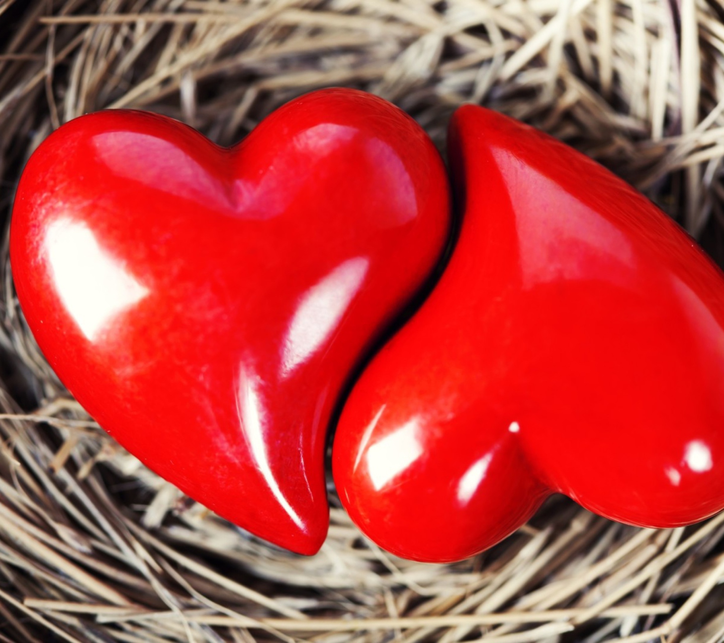 Heart In Nest wallpaper 1440x1280