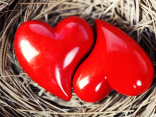 Обои Heart In Nest 320x240