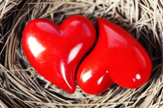Kostenloses Heart In Nest Wallpaper für Android, iPhone und iPad