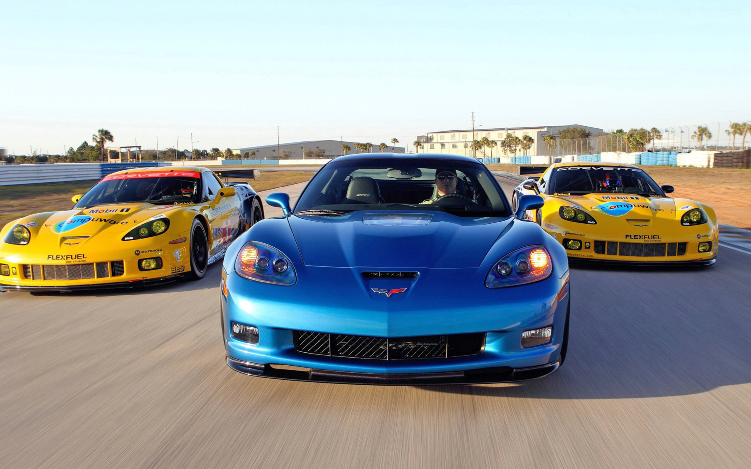 Обои Corvette Racing Cars 2560x1600