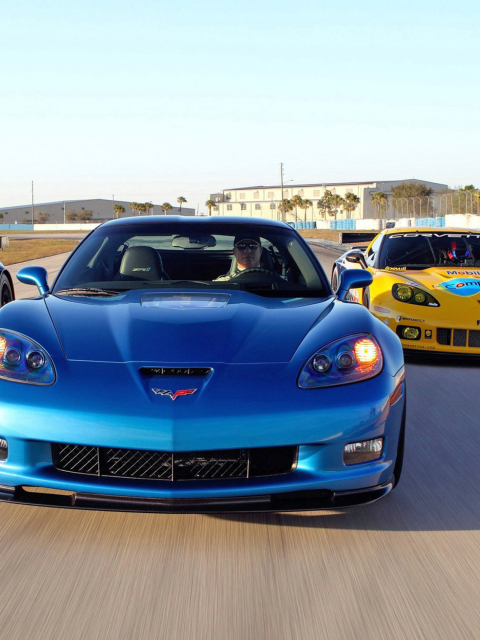 Обои Corvette Racing Cars 480x640