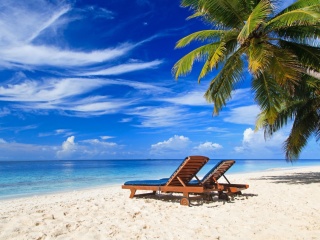 Screenshot №1 pro téma Luxury Resorts Maldives 320x240