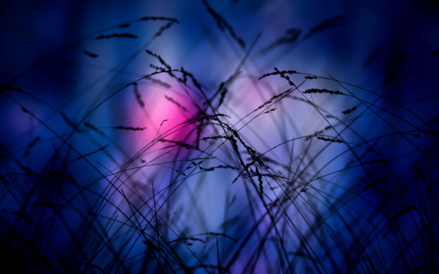 Fondo de pantalla Pink Sunset Time 1440x900