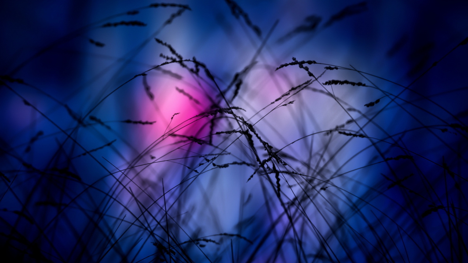 Pink Sunset Time screenshot #1 1600x900