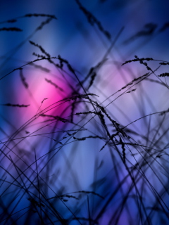 Screenshot №1 pro téma Pink Sunset Time 240x320