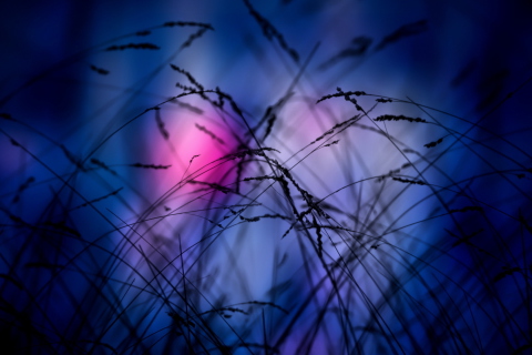 Pink Sunset Time screenshot #1 480x320