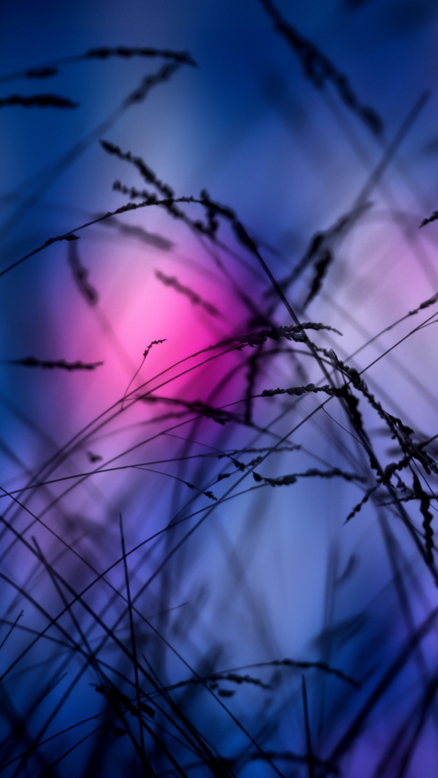 Pink Sunset Time screenshot #1 640x1136