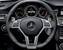 Fondo de pantalla Mercedes Benz CLS 220x176
