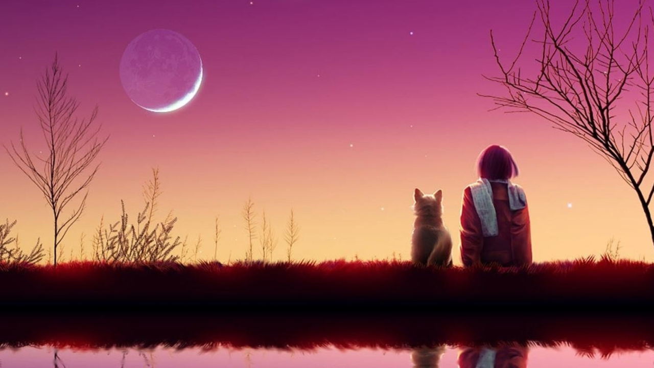 Girl And Cat Looking At Pink Sky wallpaper 1280x720