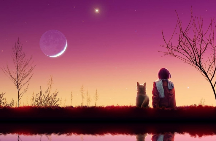 Обои Girl And Cat Looking At Pink Sky