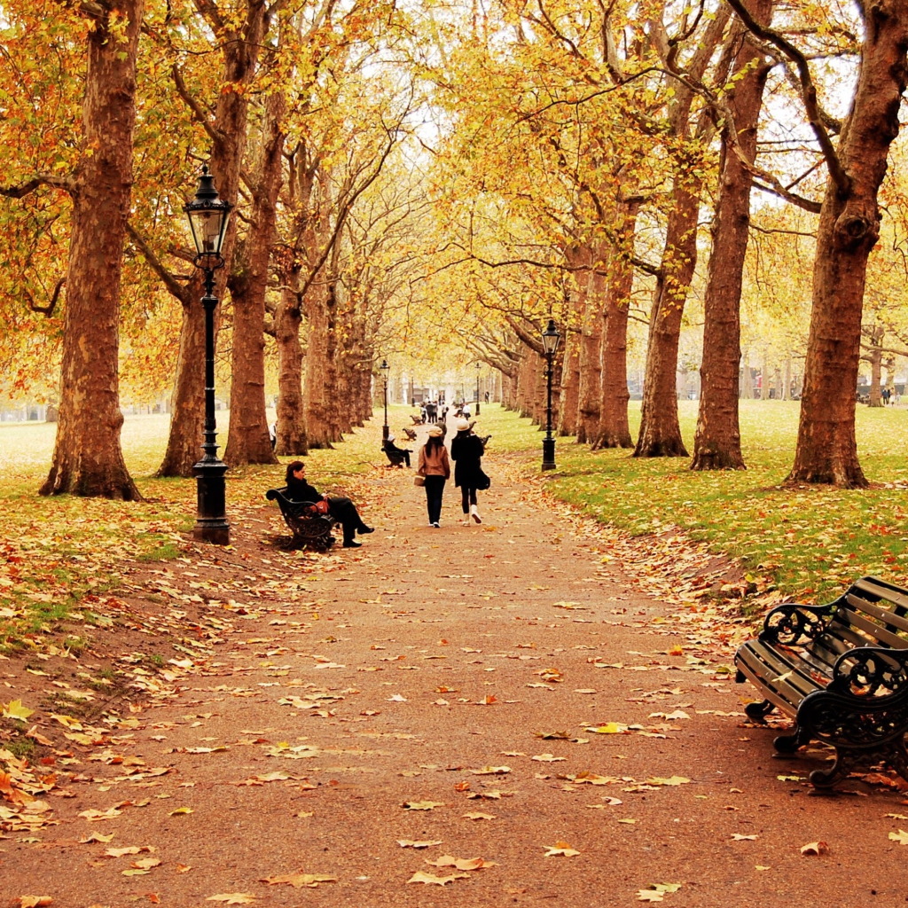 Обои Walk In Autumn Park 1024x1024