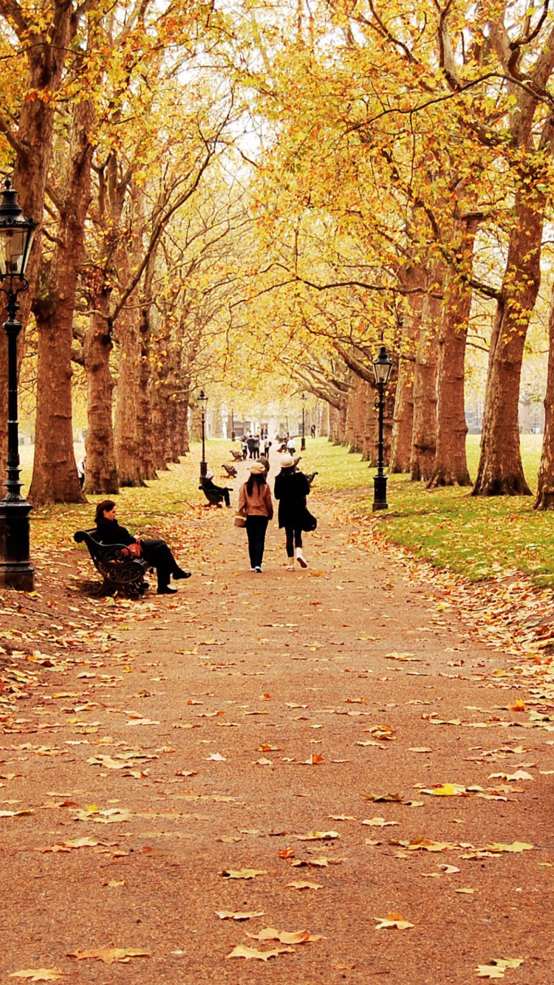 Das Walk In Autumn Park Wallpaper 1080x1920
