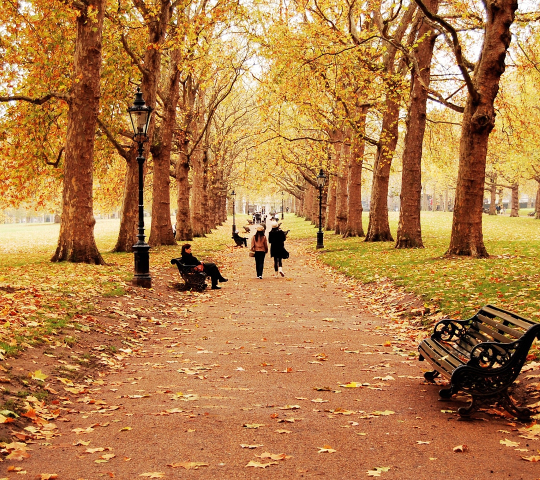 Обои Walk In Autumn Park 1080x960