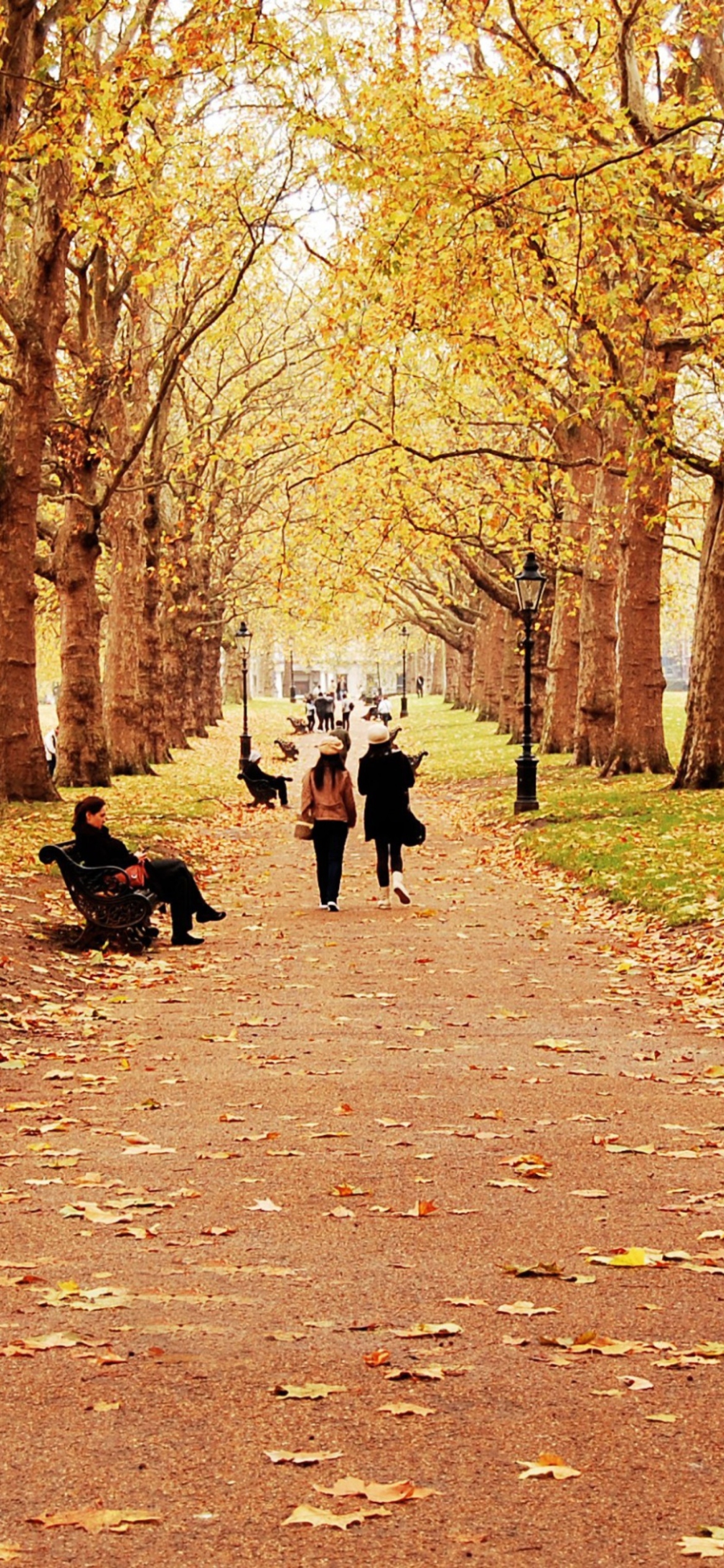 Walk In Autumn Park screenshot #1 1170x2532