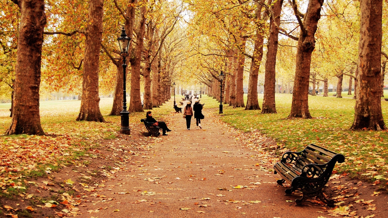 Das Walk In Autumn Park Wallpaper 1280x720