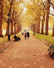 Das Walk In Autumn Park Wallpaper 176x220