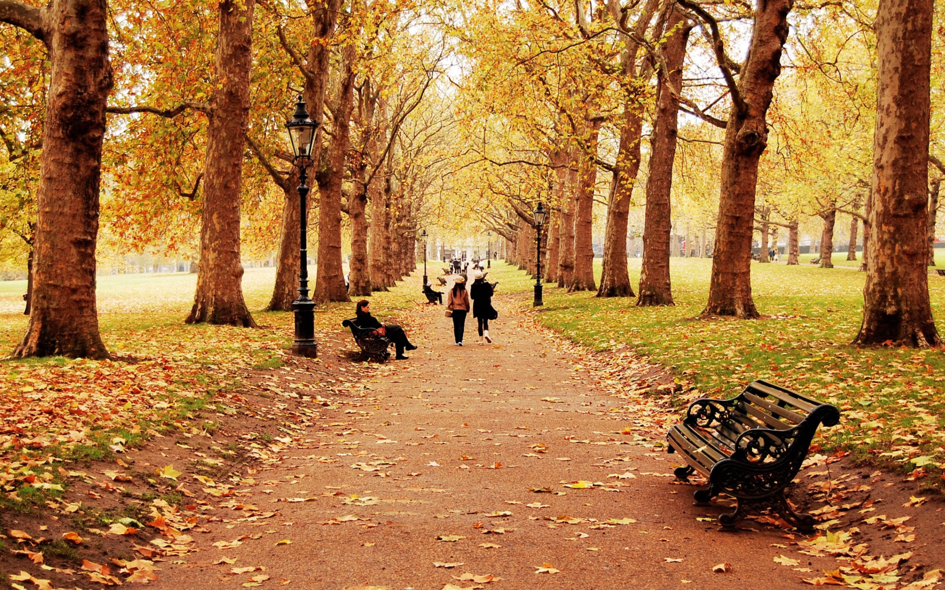 Das Walk In Autumn Park Wallpaper 1920x1200