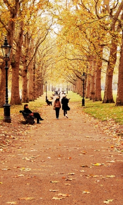 Walk In Autumn Park screenshot #1 240x400