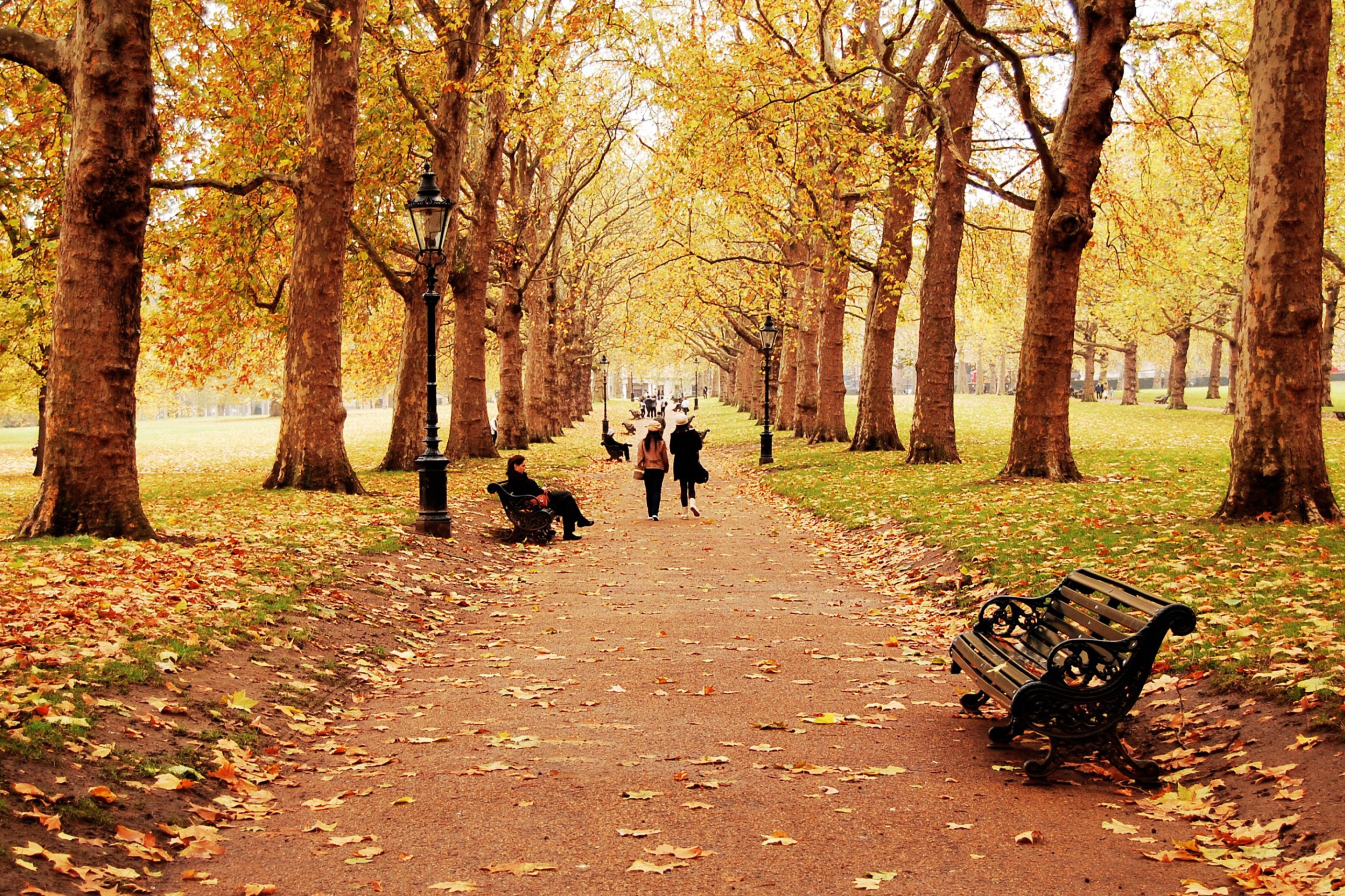 Das Walk In Autumn Park Wallpaper 2880x1920