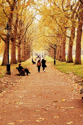 Das Walk In Autumn Park Wallpaper 320x480