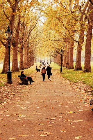 Walk In Autumn Park wallpaper 320x480