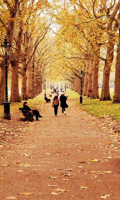 Walk In Autumn Park screenshot #1 480x800