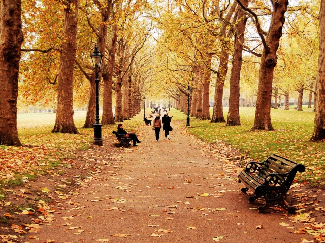 Walk In Autumn Park wallpaper 640x480