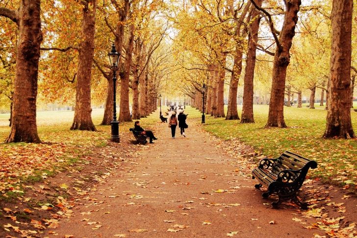 Walk In Autumn Park wallpaper