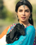 Priyanka Chopra In Teri Meri Kahaani screenshot #1 128x160