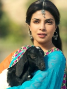 Priyanka Chopra In Teri Meri Kahaani screenshot #1 132x176