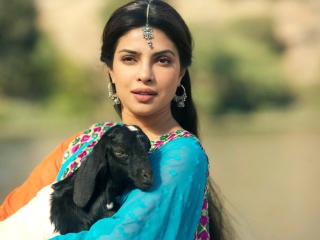 Screenshot №1 pro téma Priyanka Chopra In Teri Meri Kahaani 320x240