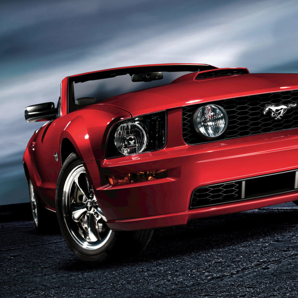 Fondo de pantalla Ford Mustang Shelby GT500 1024x1024