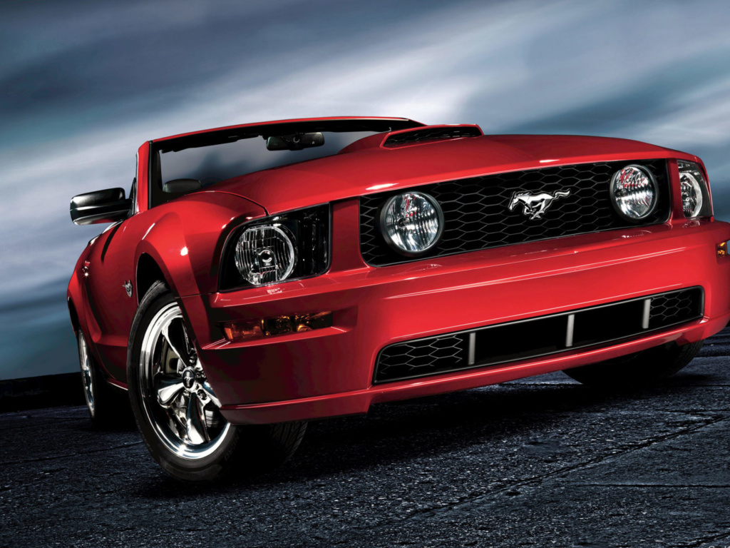 Das Ford Mustang Shelby GT500 Wallpaper 1024x768