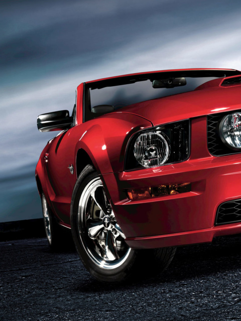 Fondo de pantalla Ford Mustang Shelby GT500 480x640
