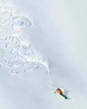 Das Snowboarding Art Wallpaper 176x220
