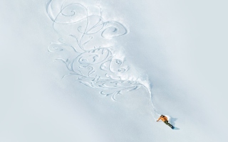 Snowboarding Art - Obrázkek zdarma 
