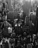 New York City Black And White Skyscrapers wallpaper 128x160