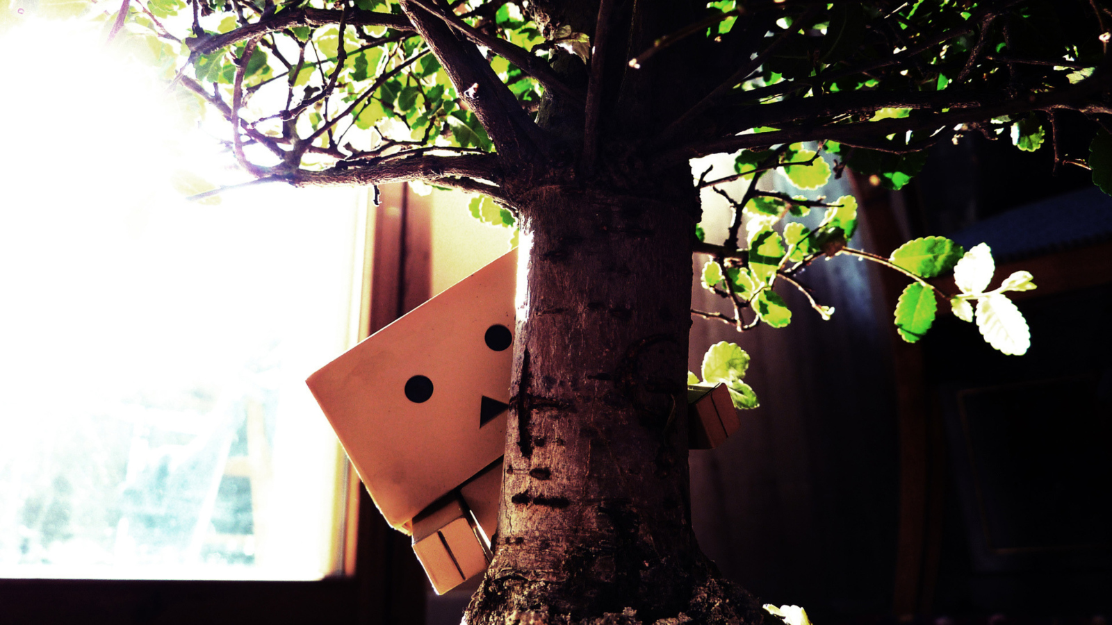 Sfondi Little Danbo Hiding Behind Plant 1600x900