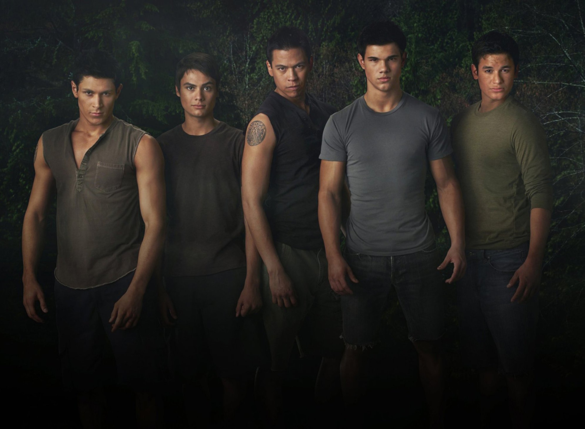 Das Twilight Wolves Wallpaper 1920x1408