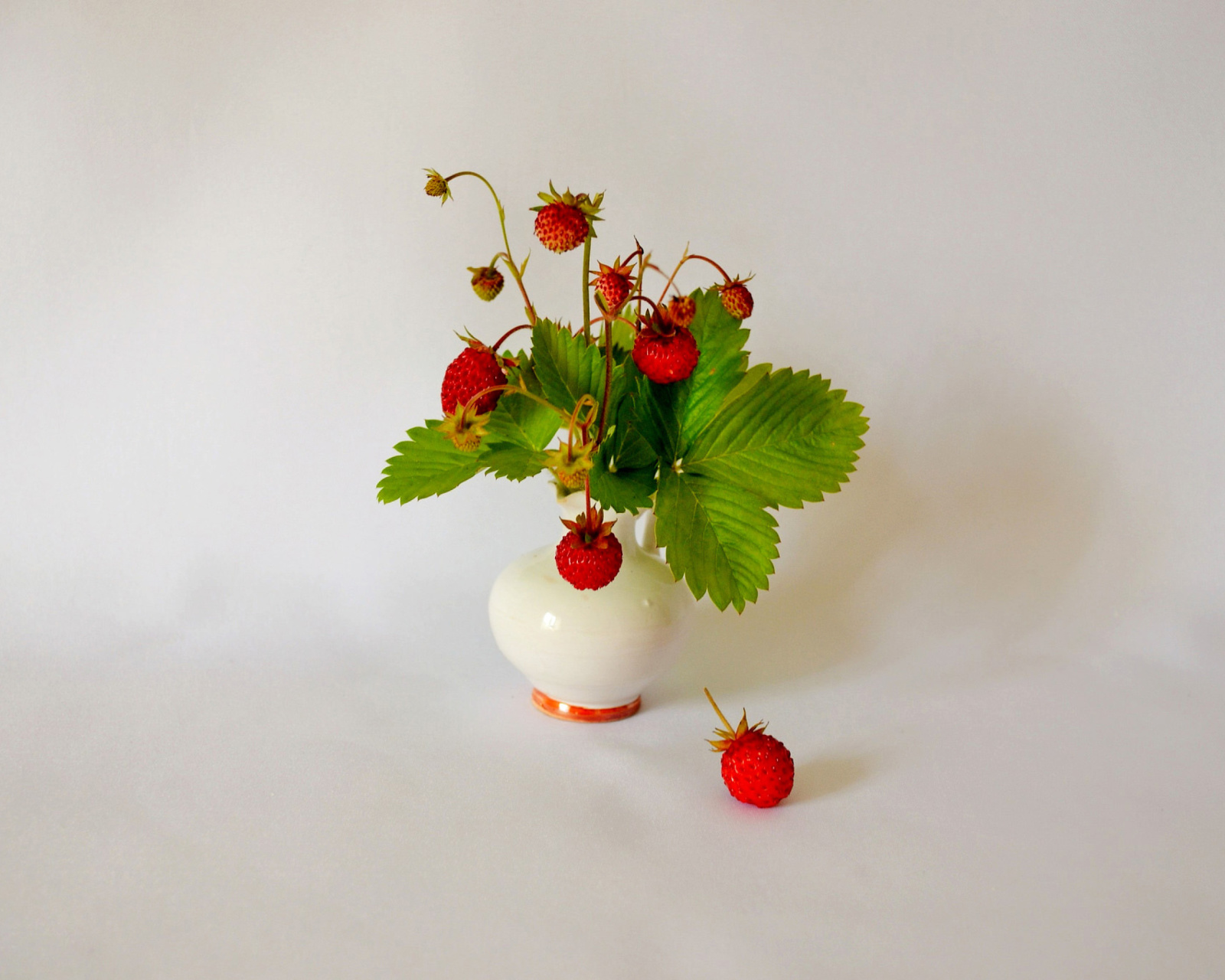 Sfondi Wild Strawberrie 1600x1280