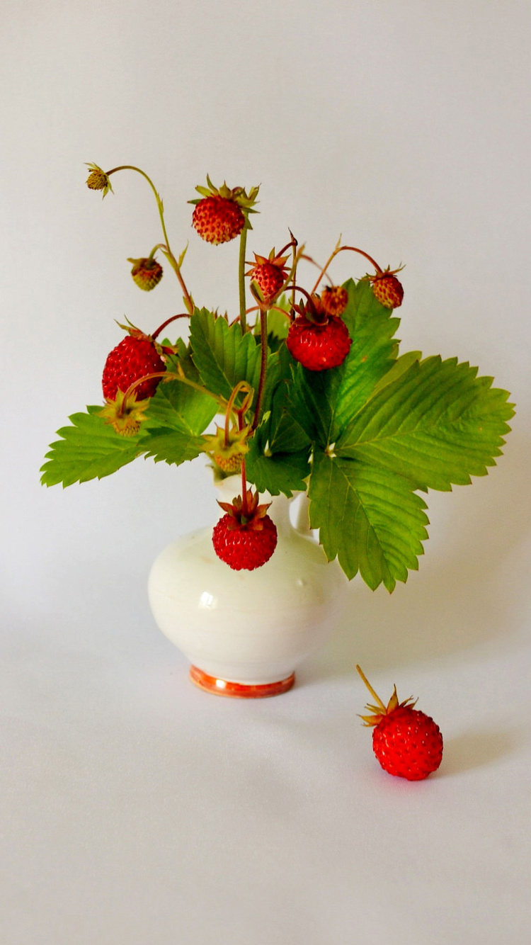 Sfondi Wild Strawberrie 750x1334