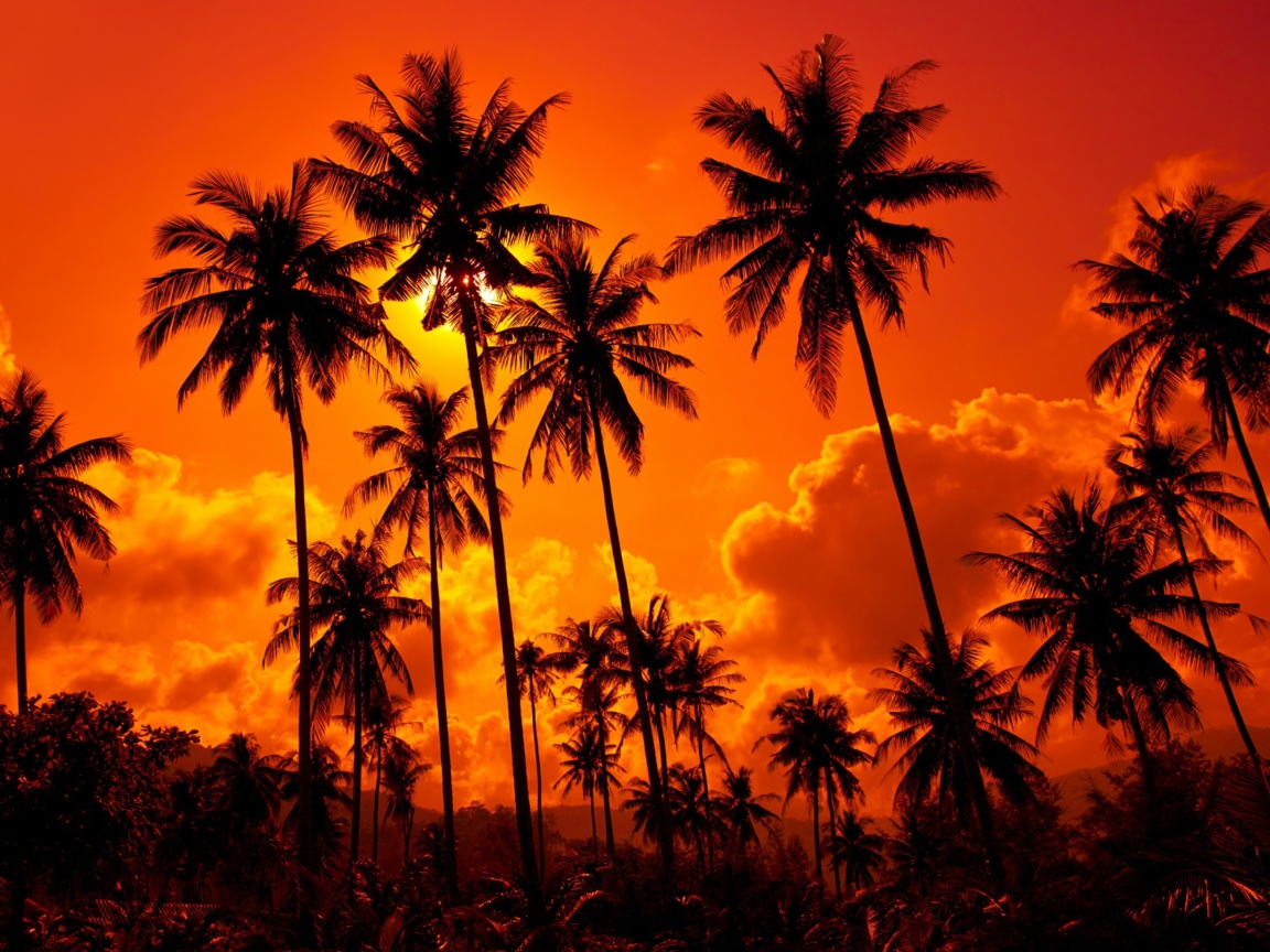 Sunset Thailand screenshot #1 1152x864