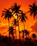 Sunset Thailand screenshot #1 128x160