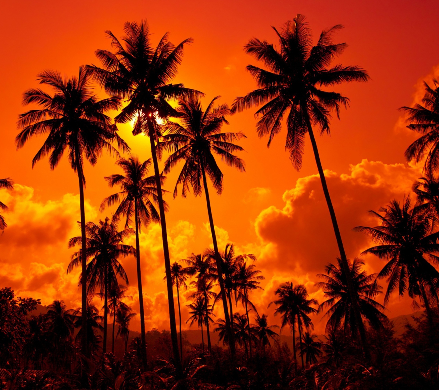 Fondo de pantalla Sunset Thailand 1440x1280