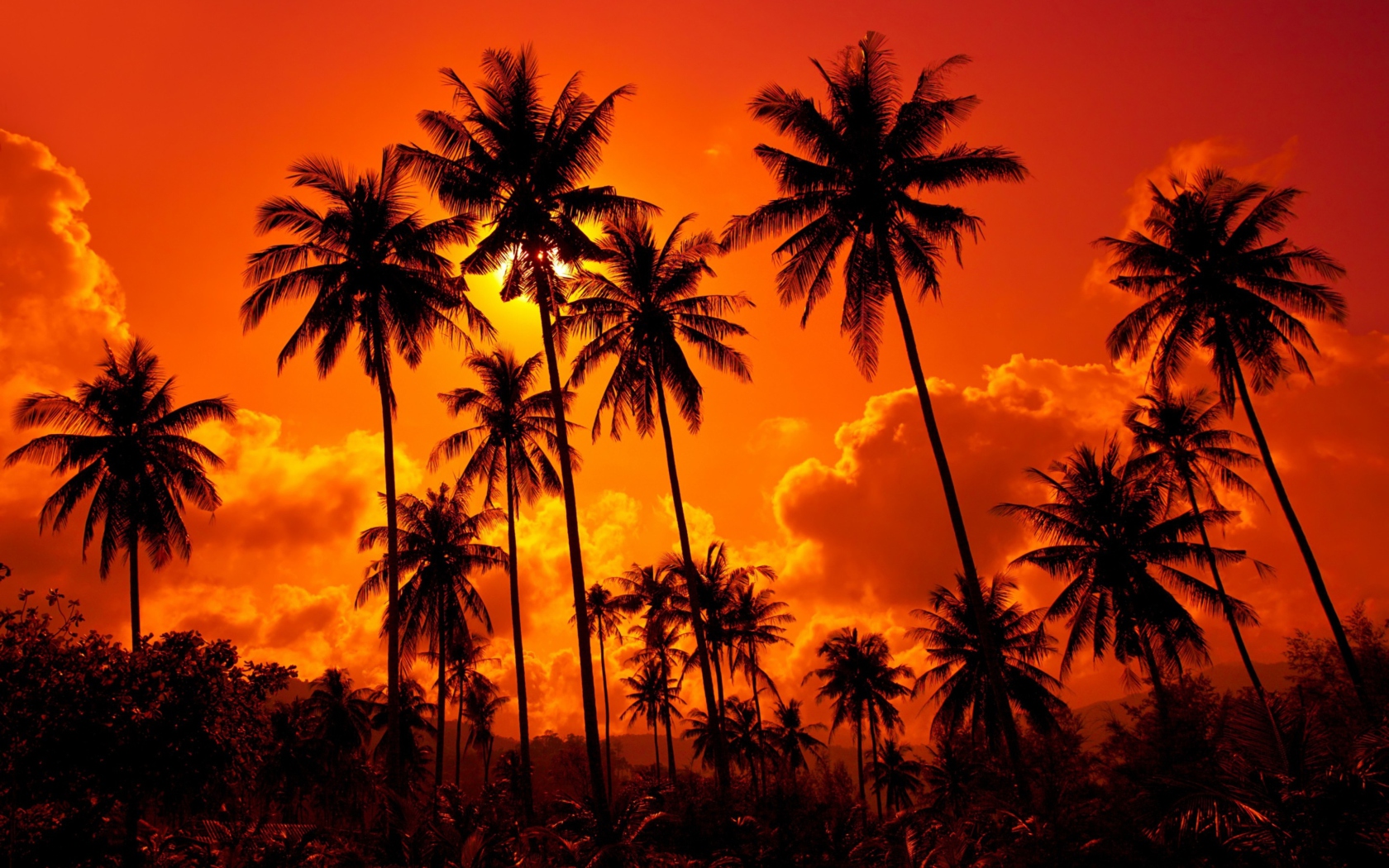 Sunset Thailand screenshot #1 1680x1050