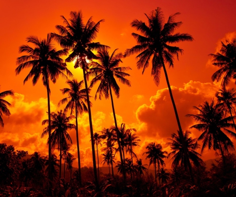 Fondo de pantalla Sunset Thailand 480x400